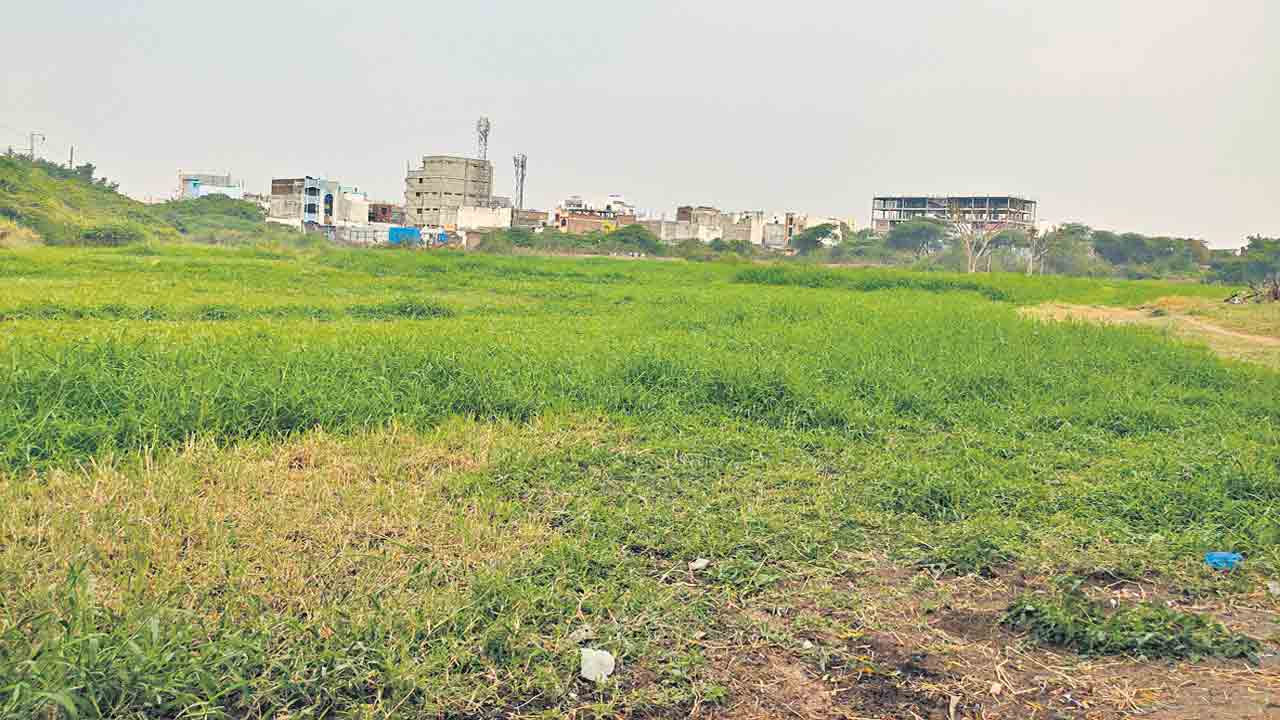 ప్రభుత్వ భూమి కబ్జా యత్నం