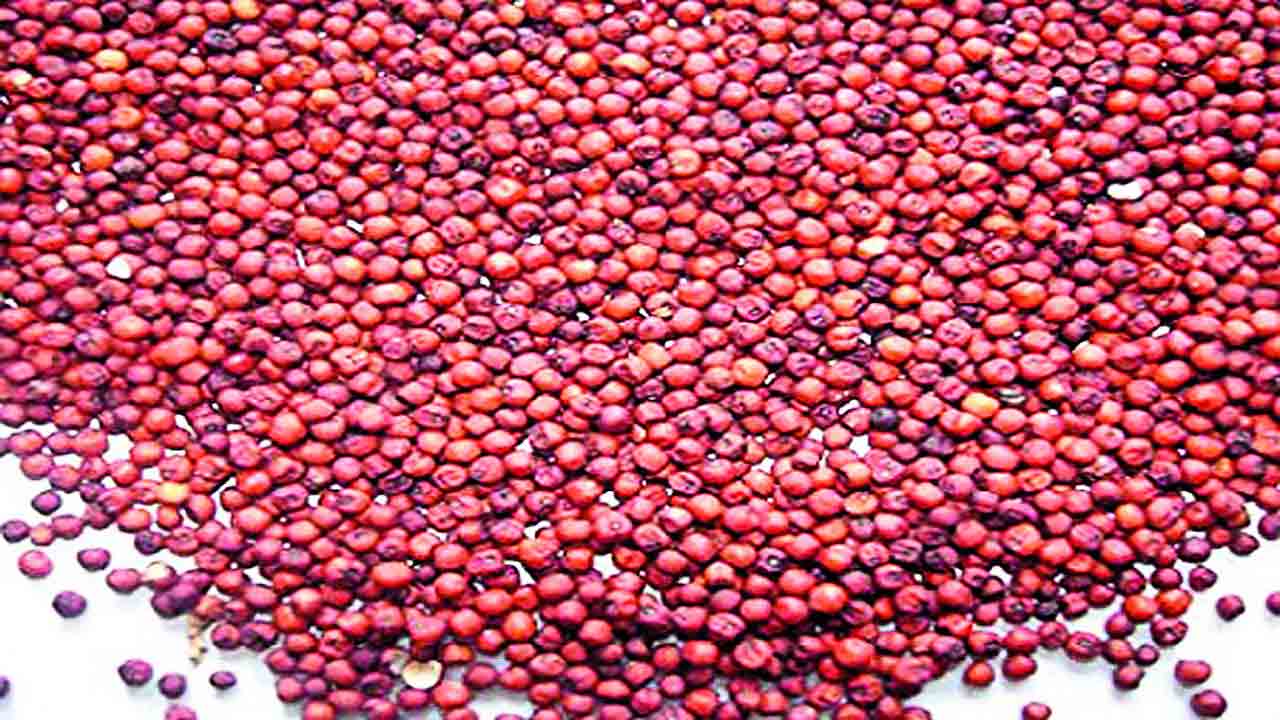 చిరుధాన్యాల పంటలకు ప్రణాళిక