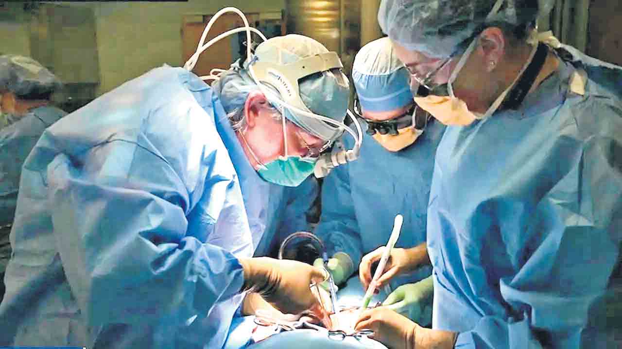 మనిషికి పంది కాలేయం!