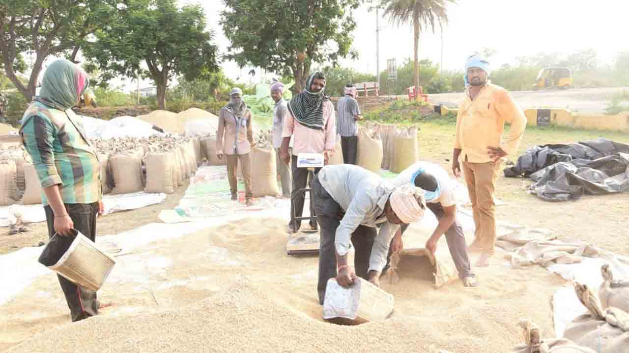 ధన ధాన్యం
