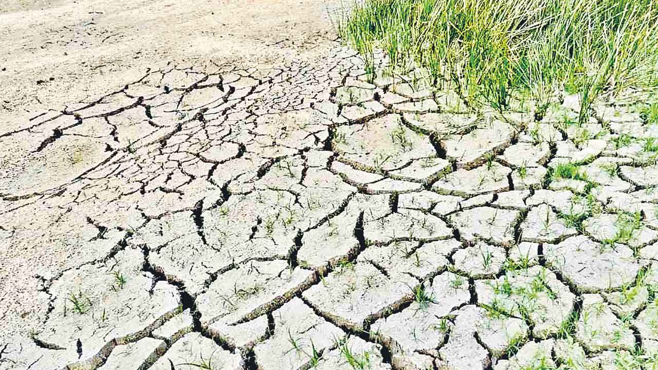 సమస్యాత్మక భూములు.. యాజమాన్య పద్ధతులు