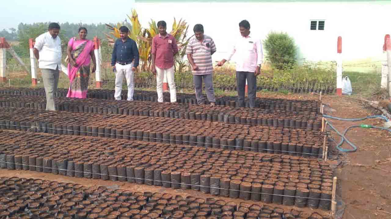 నర్సరీల ఏర్పాటుతో పల్లెలు కళకళలాడాలి