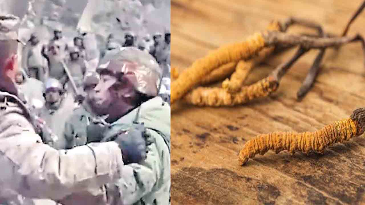 ‘హిమాలయన్‌ గోల్డ్‌’ కోసమే అరుణాచల్‌లో చైనా చొరబాటు!