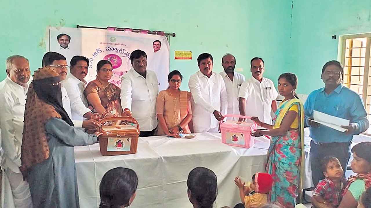 న్యూట్రిషన్‌ కిట్లతో తల్లీబిడ్డలకు ఆరోగ్య రక్షణ