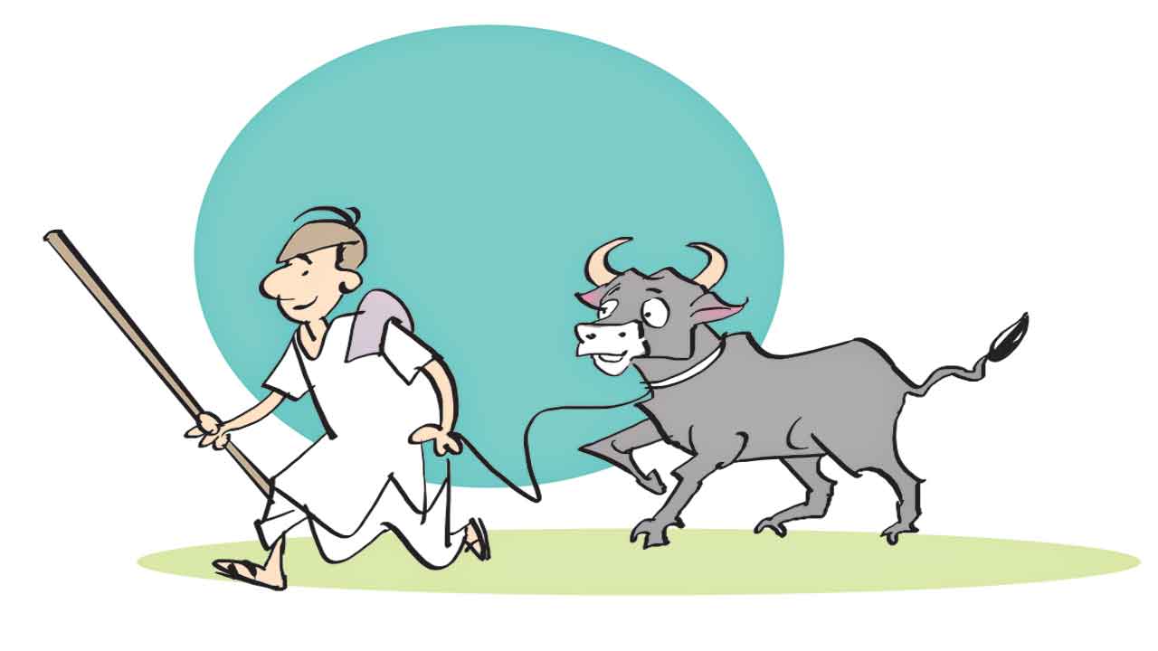 పలుకుబడులు – తను(లు)గు ఉందని బర్రెను కొన్నట్టు