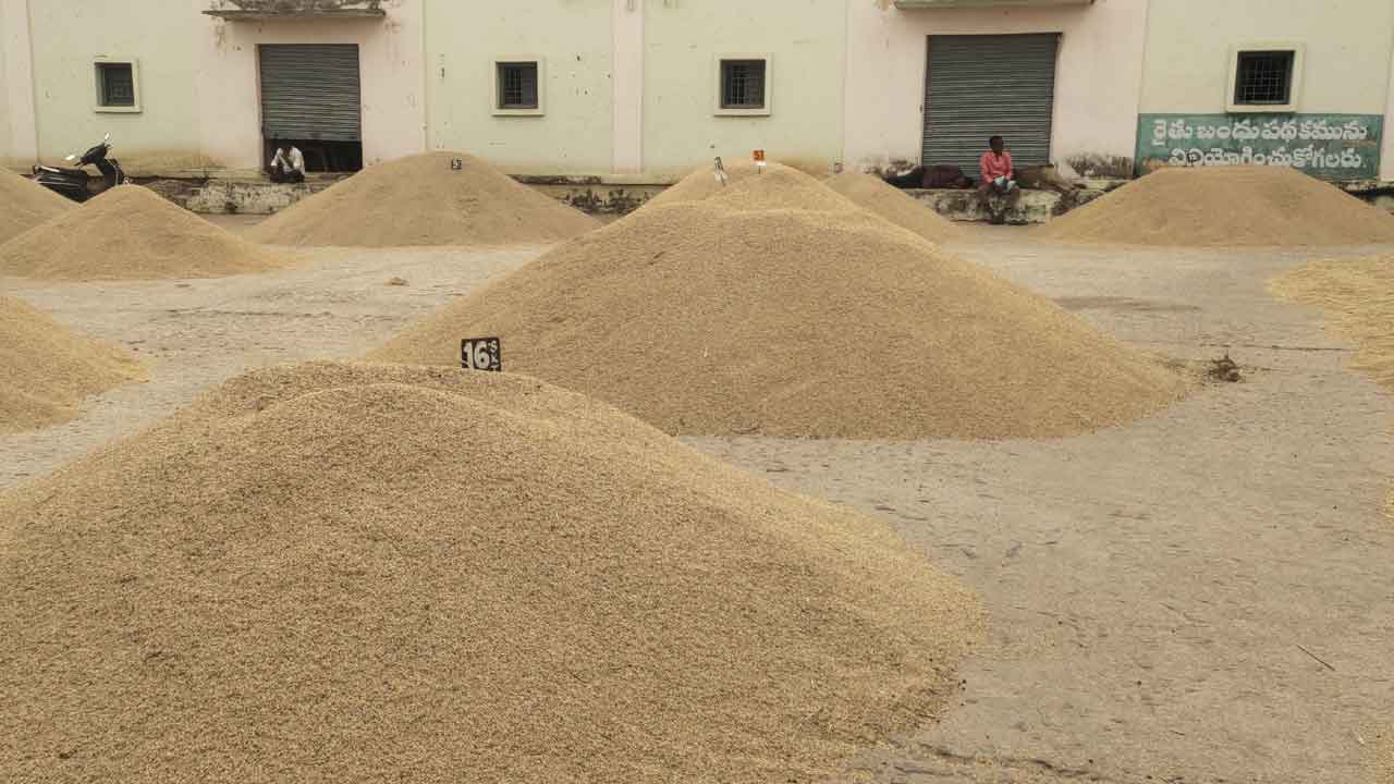 రికార్డు ధర పలికిన హంసధాన్యం..పడిపోయిన పత్తి ధరలు