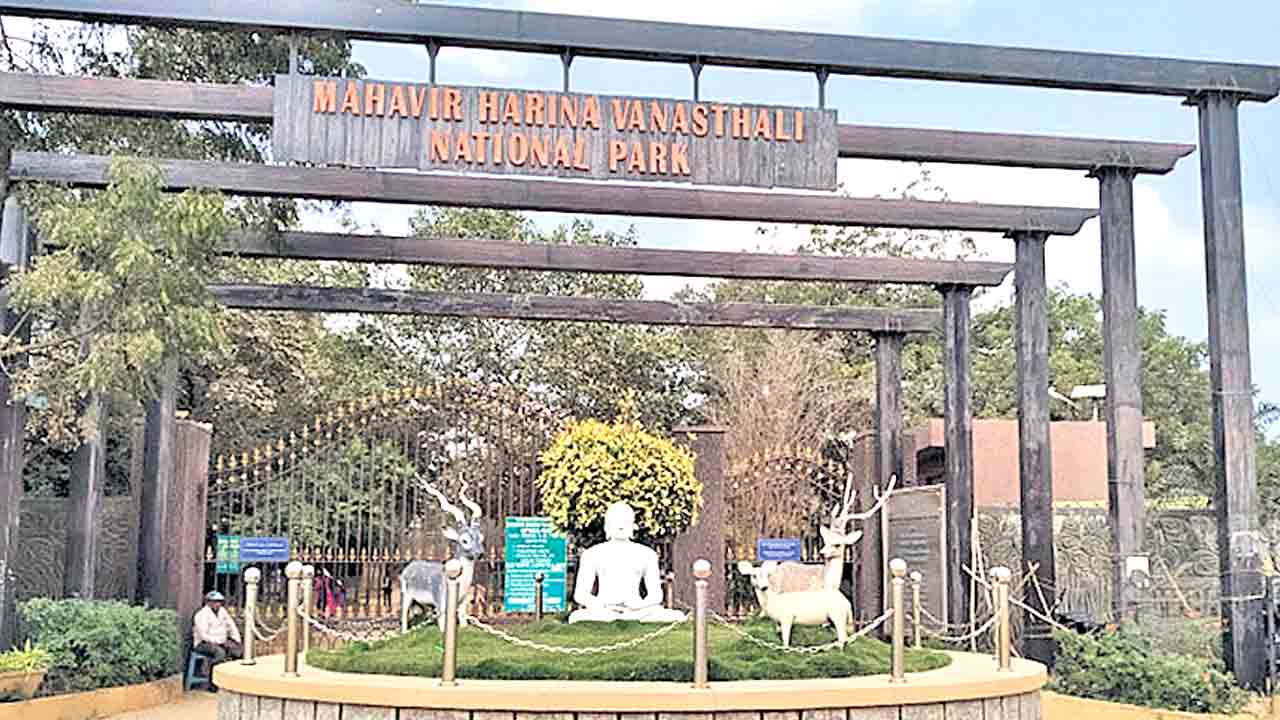 వనస్థలి హరిణి పార్కుకు కాలుష్య బెడద