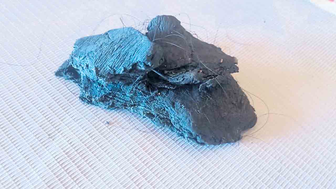 ‘ఎత్తు’గడ చిత్తు