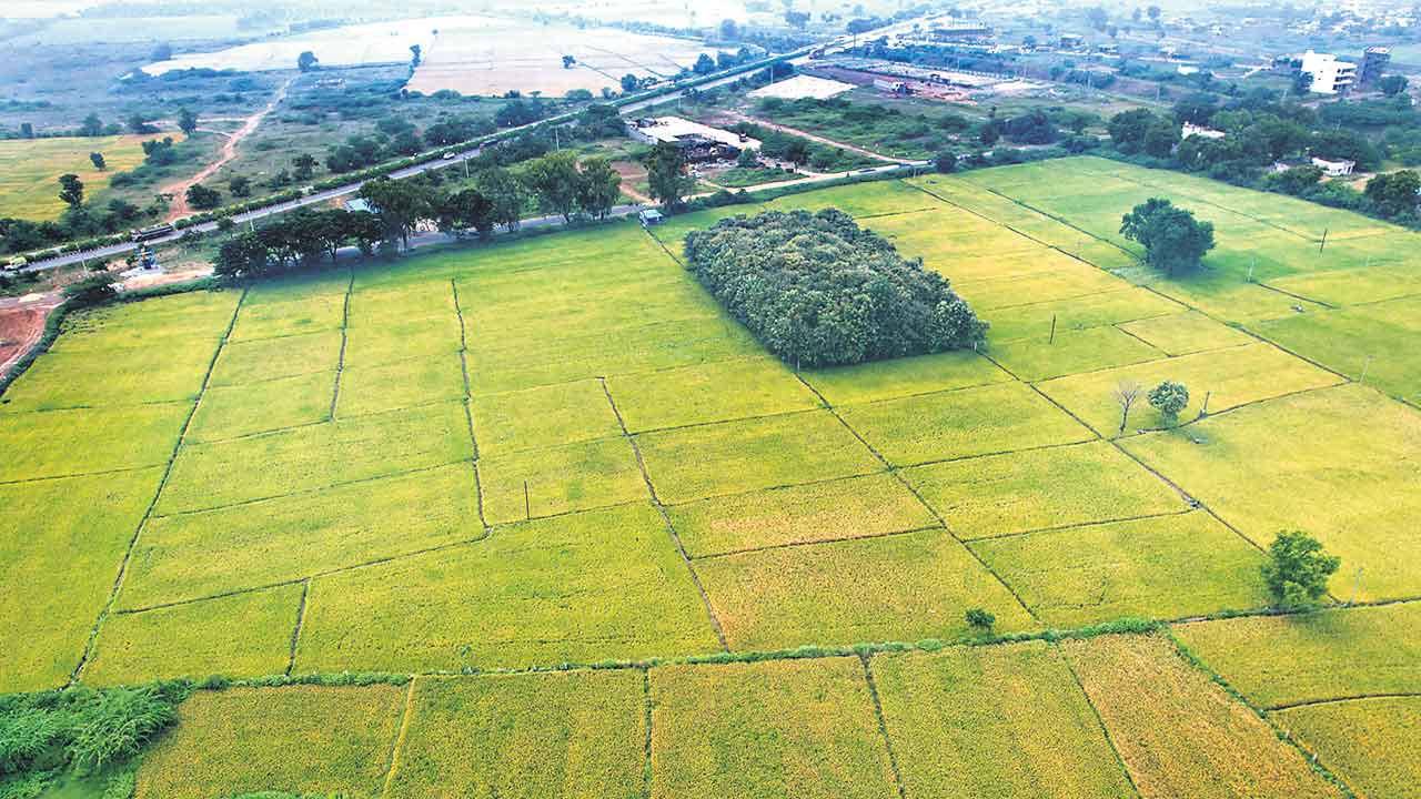 పాలమూరులో ఎంత మార్పు!