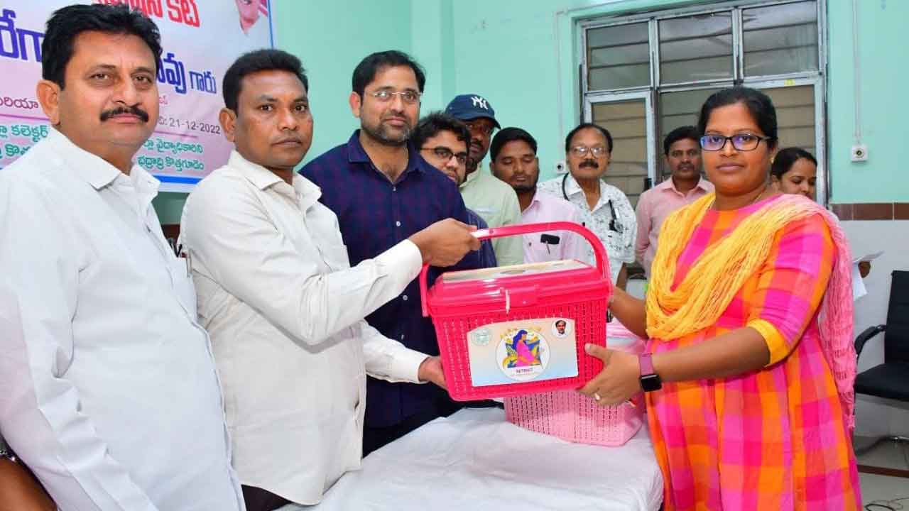 మాతాశిశువుల ఆరోగ్యానికి పెద్దపీట