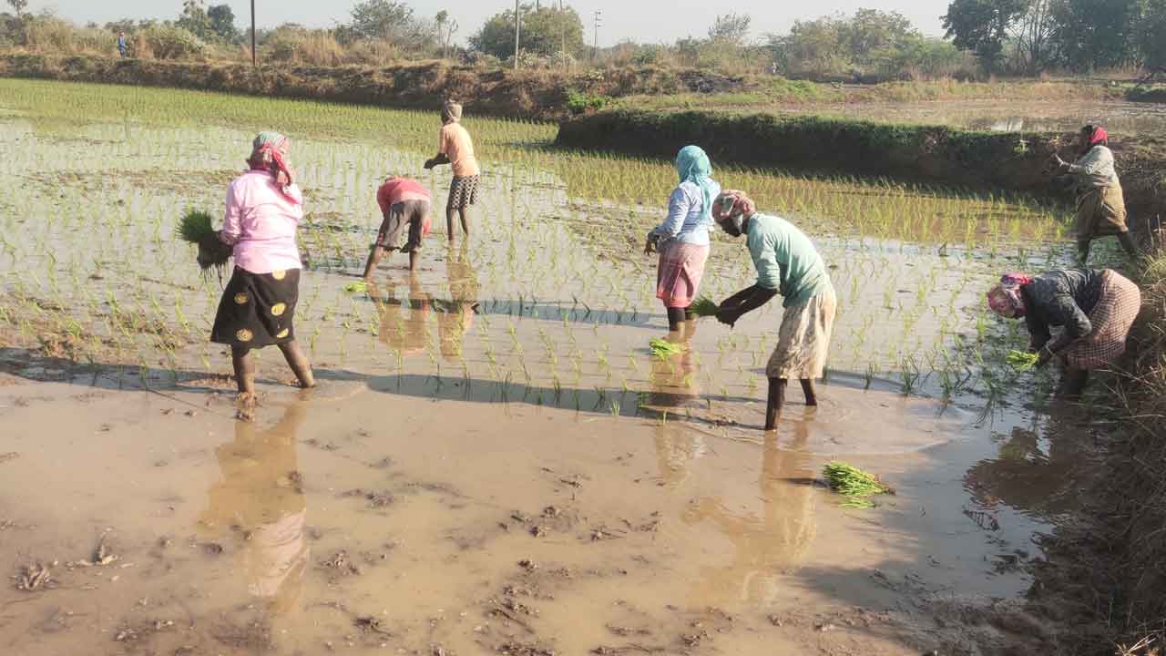 వలస కూలీల వెల్లువ