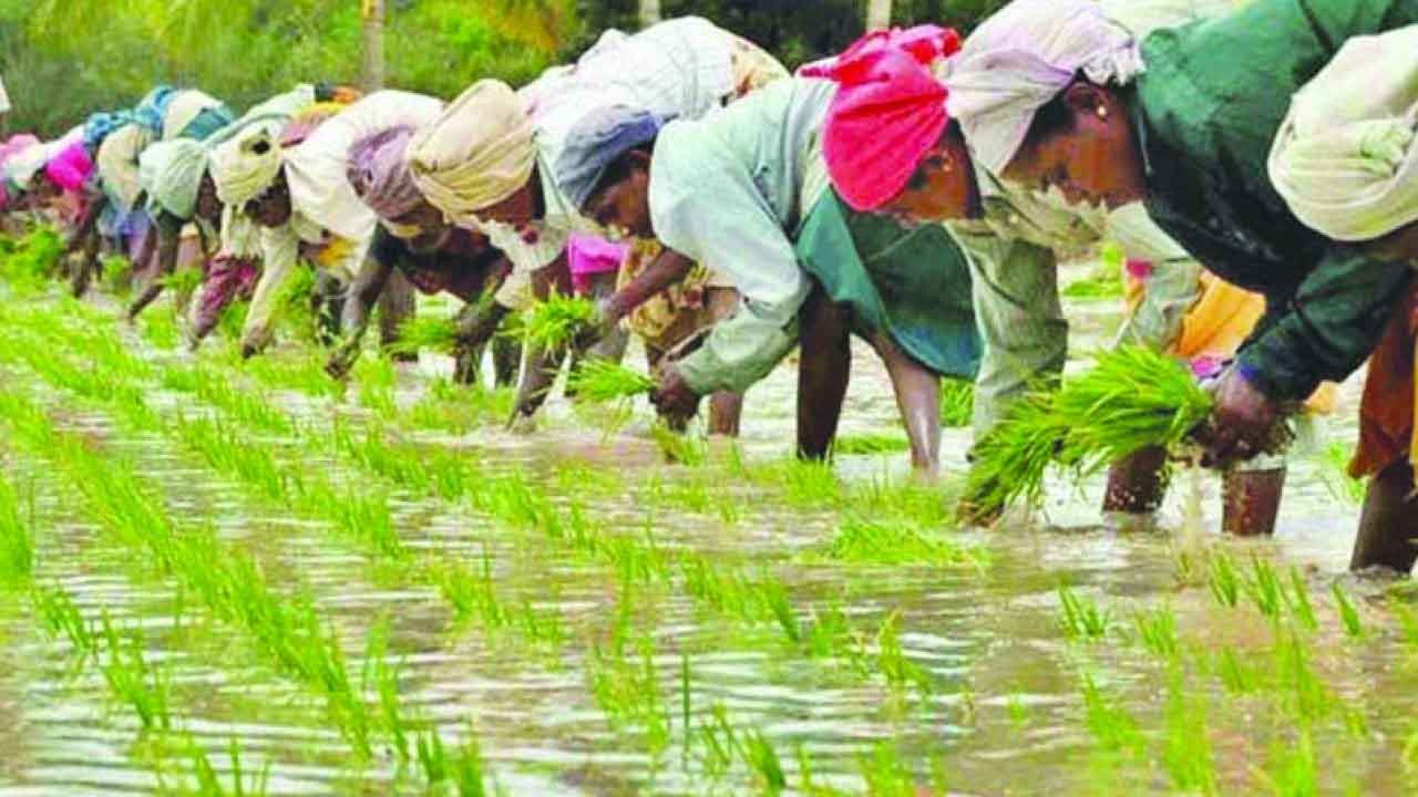 కొత్త రైతులకూ రైతుబంధు