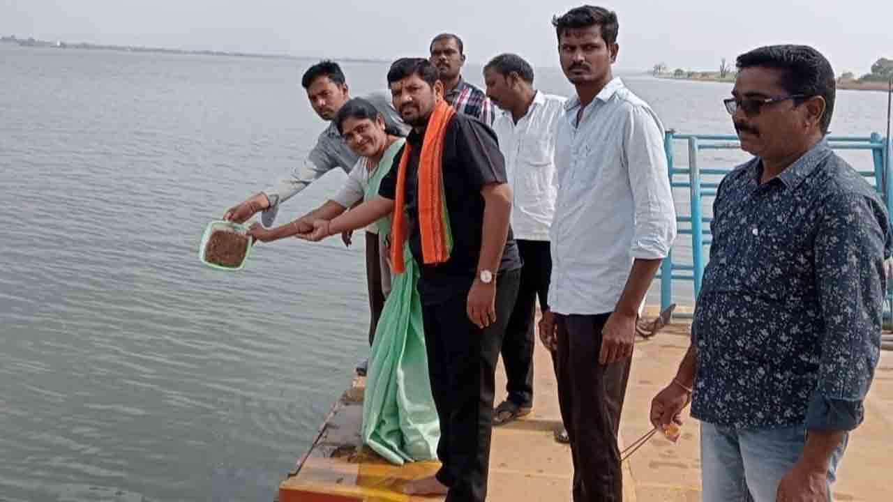 ఎల్లంపల్లి బ్యాక్‌ వాటర్‌లో 10లక్షల రొయ్య పిల్లల విడుదల