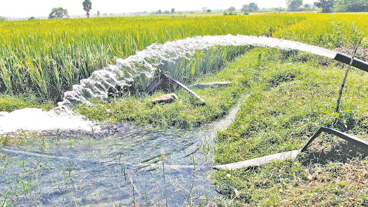 ఎవుసమే ఉపాధికి చిరునామా