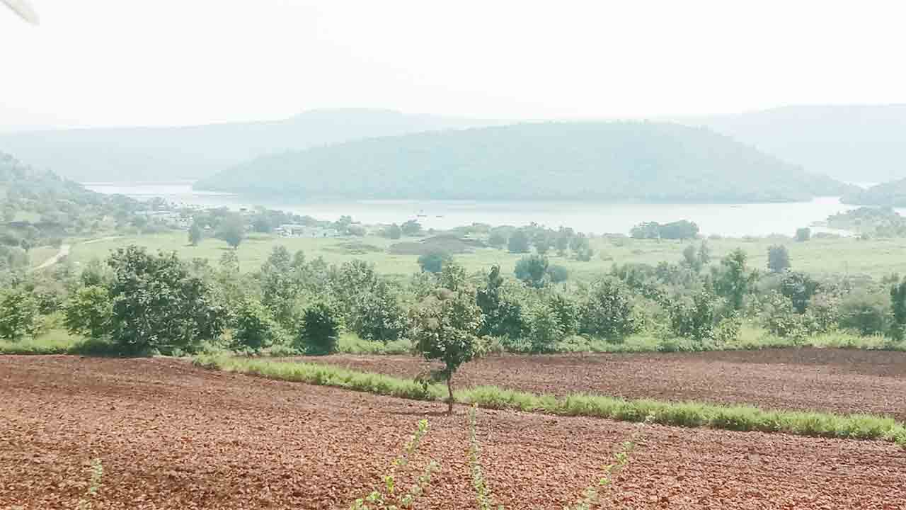 నల్లమలలో ప్రకృతి అందాలు