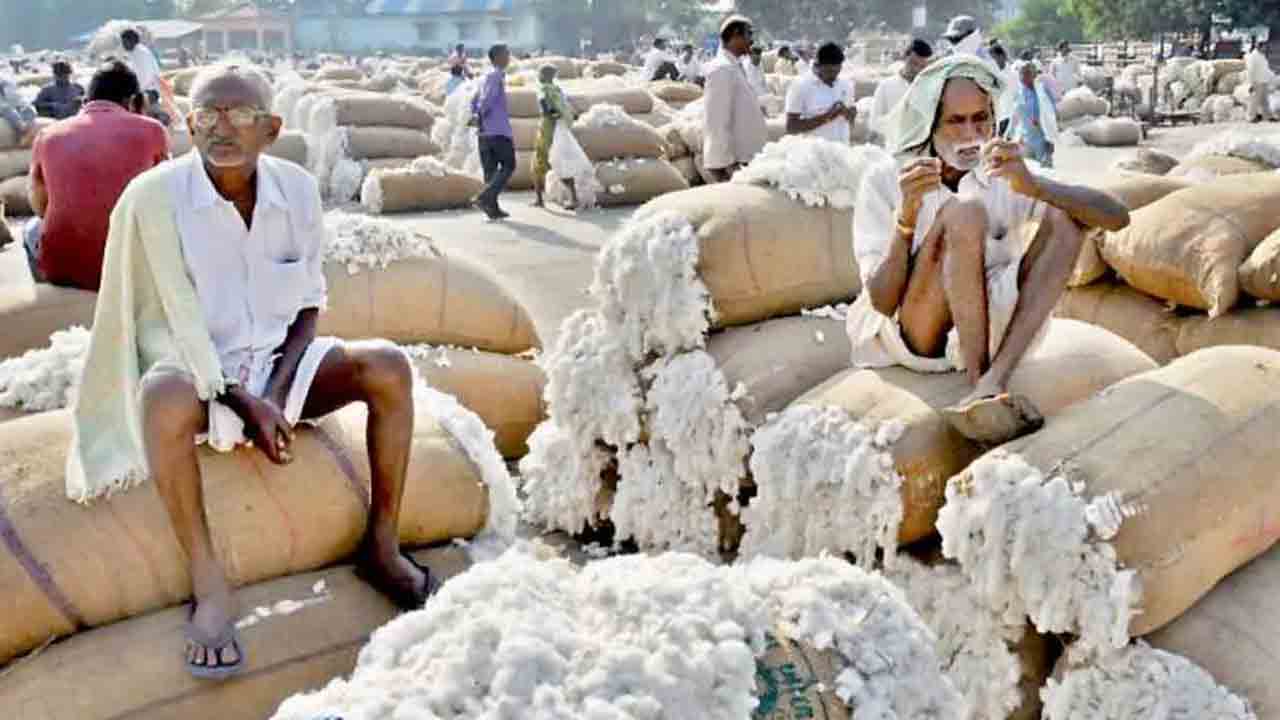 క్వింటా పత్తికి రూ.8,309