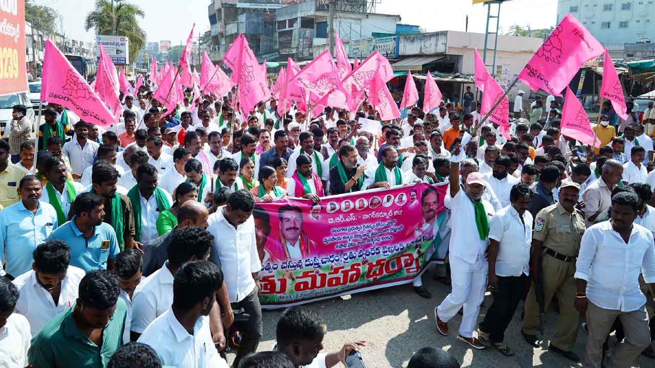 గర్జించింన గులాబీ సేన