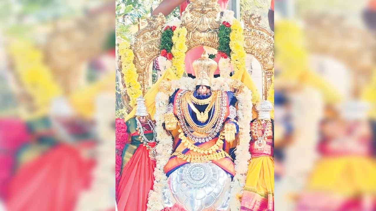 కూర్మావతారంలో భద్రాద్రి రామయ్య