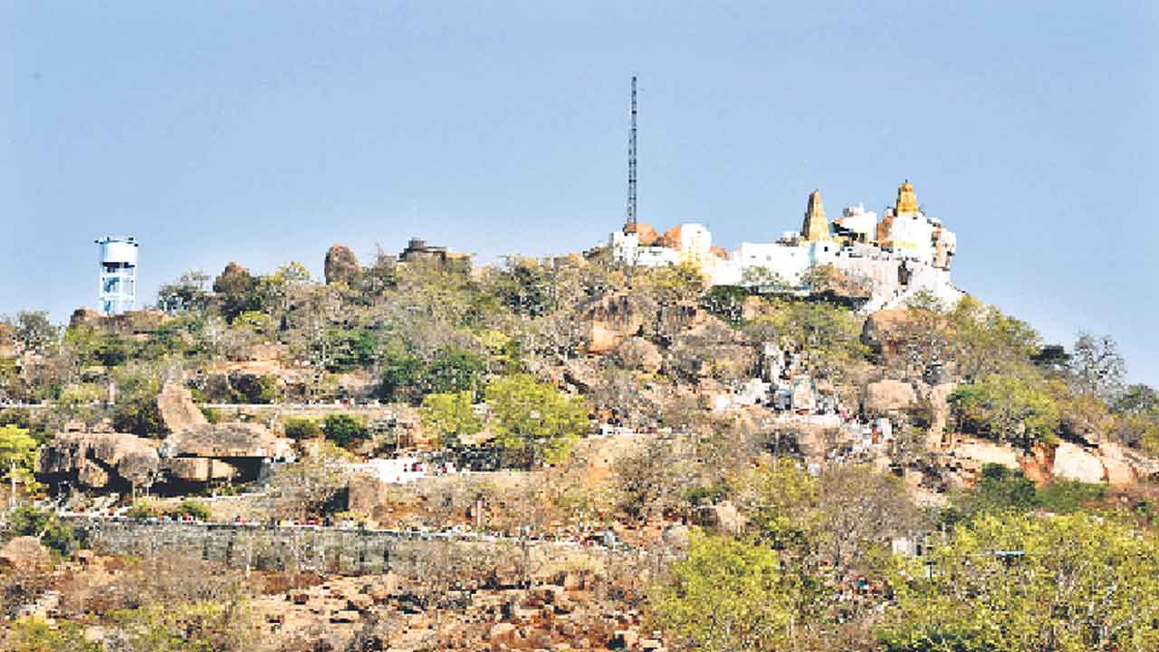 మన్యంకొండకు మహర్దశ