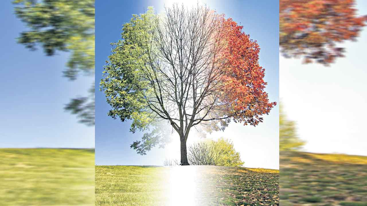 కలల పుప్పొడి!