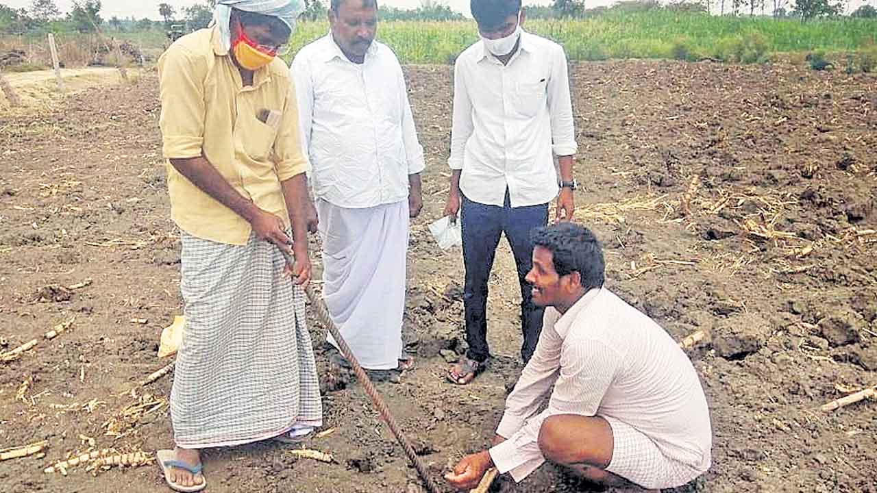 నేలమ్మా.. వందనాలమ్మా