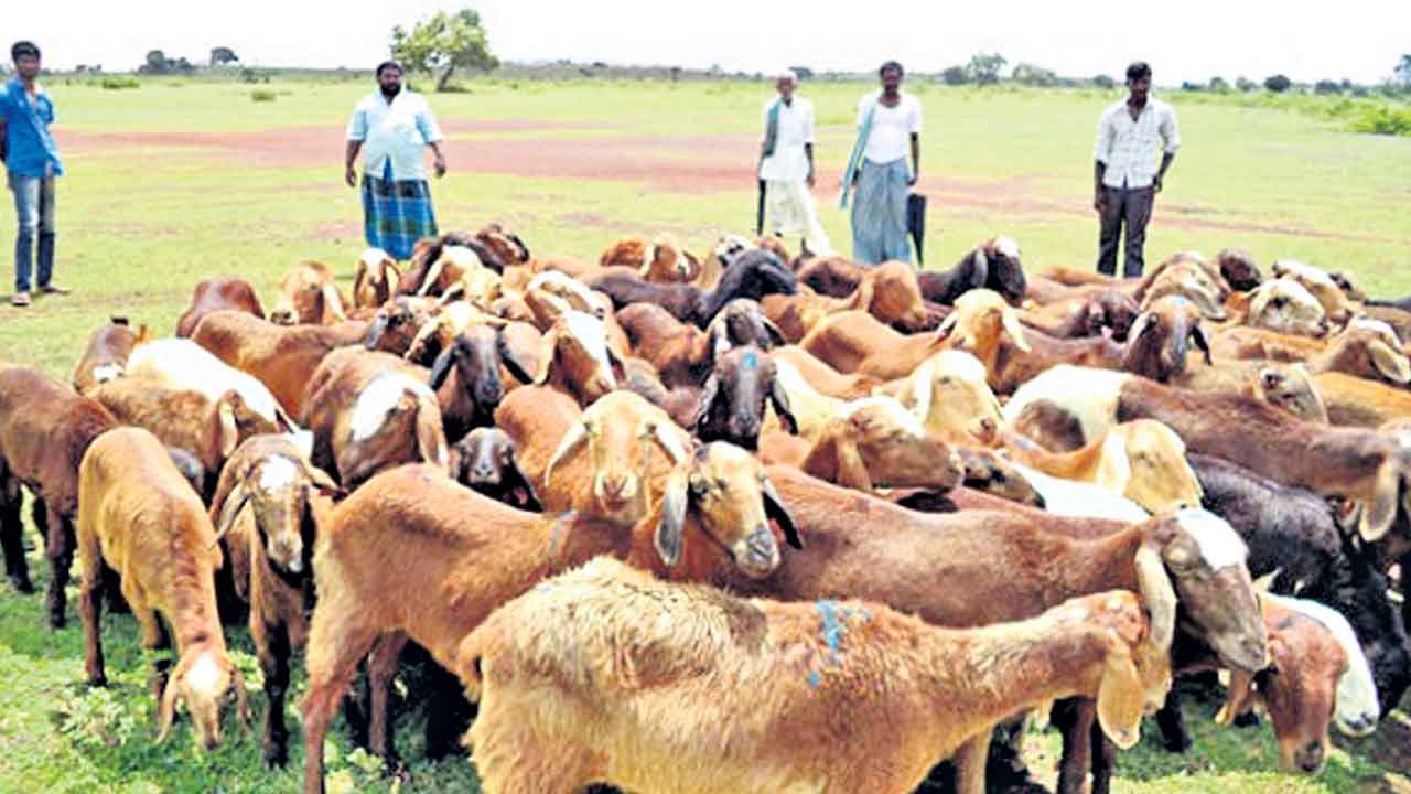 కేంద్రంలో బీసీ మంత్రిత్వ శాఖ ఏదీ?