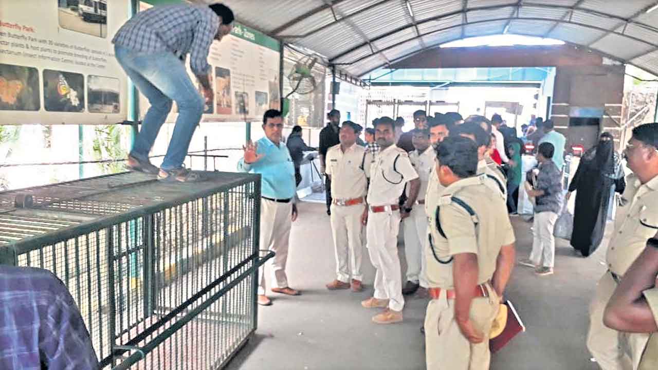 వన్యప్రాణుల సంరక్షణ అందరి బాధ్యత