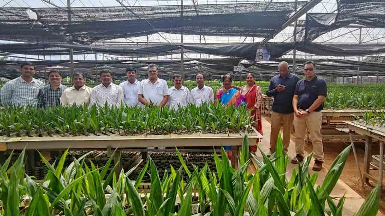 మలేషియాలో ఆయిల్పామ్ సాగు పరిశీలన