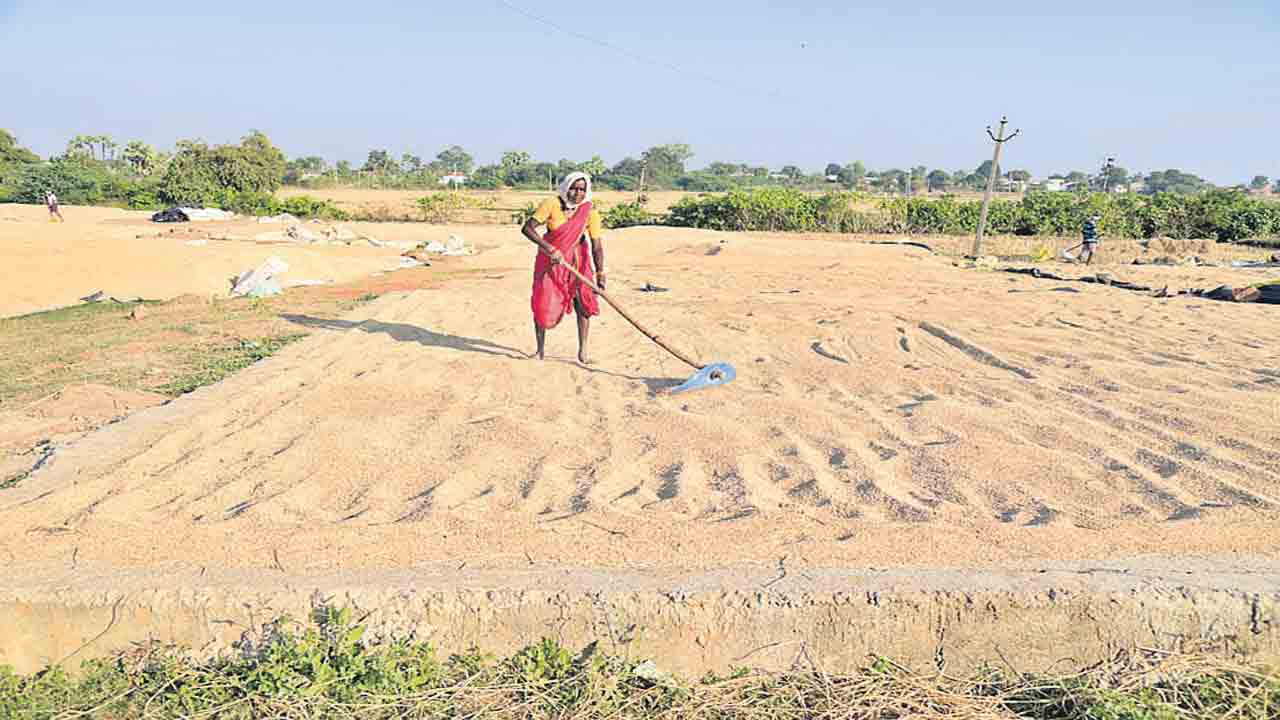 కల్లాలపై కేంద్రం కండ్లమంట..
