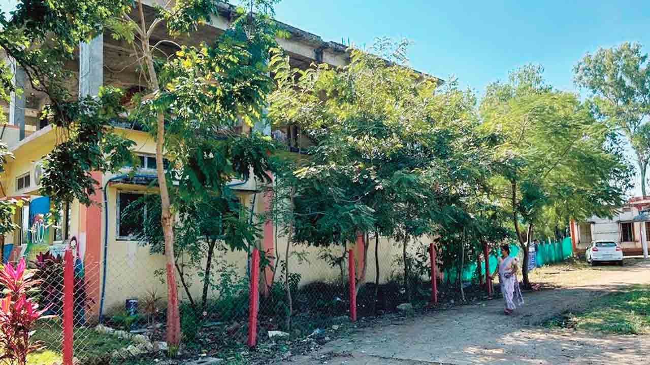 పచ్చదనం.. ఆహ్లాదం