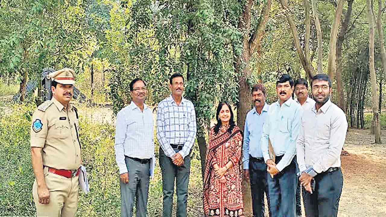 తెలంగాణలో పచ్చదనం అద్భుతం