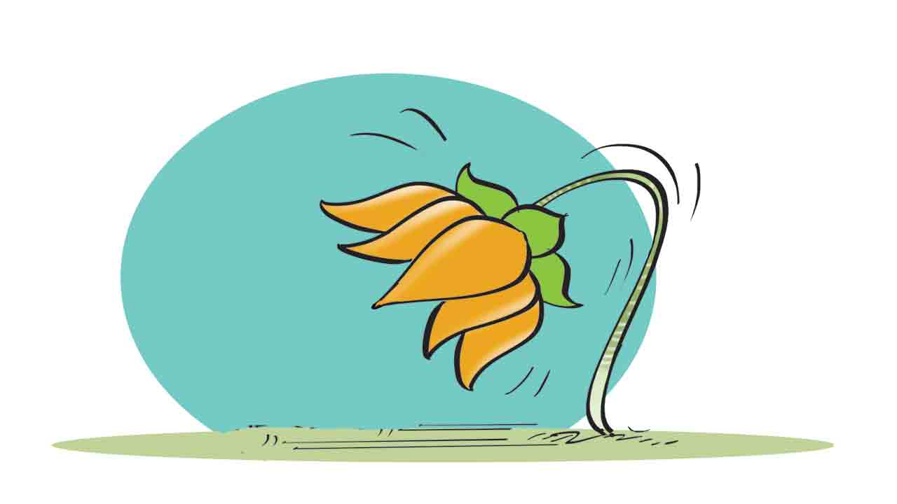 బీజేపీ కార్యాలయాన్ని ముట్టడించిన పండిట్లు