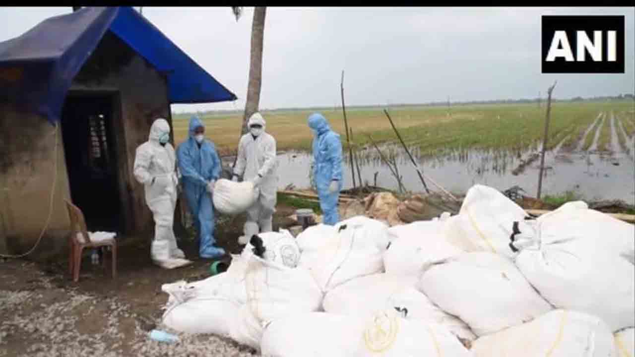 కేరళలో రెండుచోట్ల బర్డ్‌ఫ్లూ కేసులు