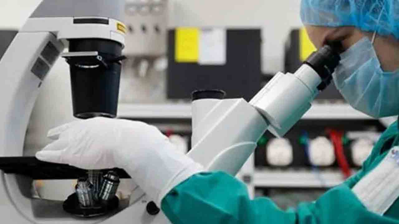 కొవిడ్‌.. మనుషులు సృష్టించిందే!