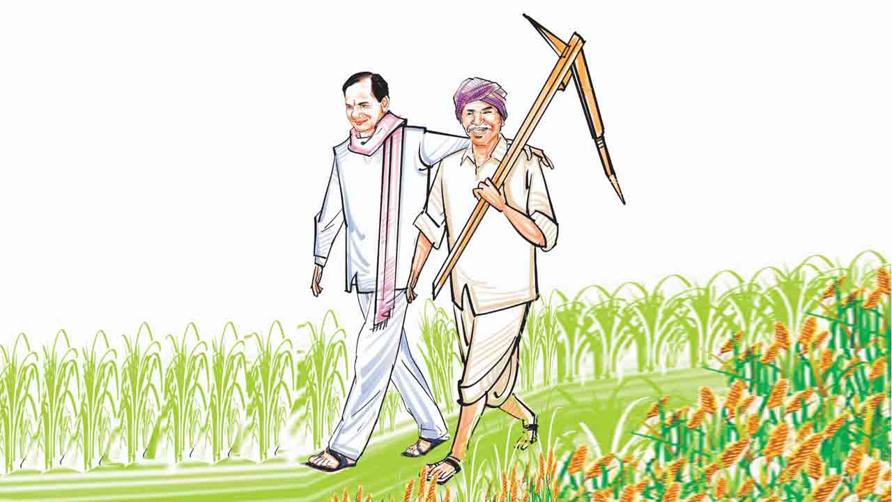 మాగాణి తేజస్సు