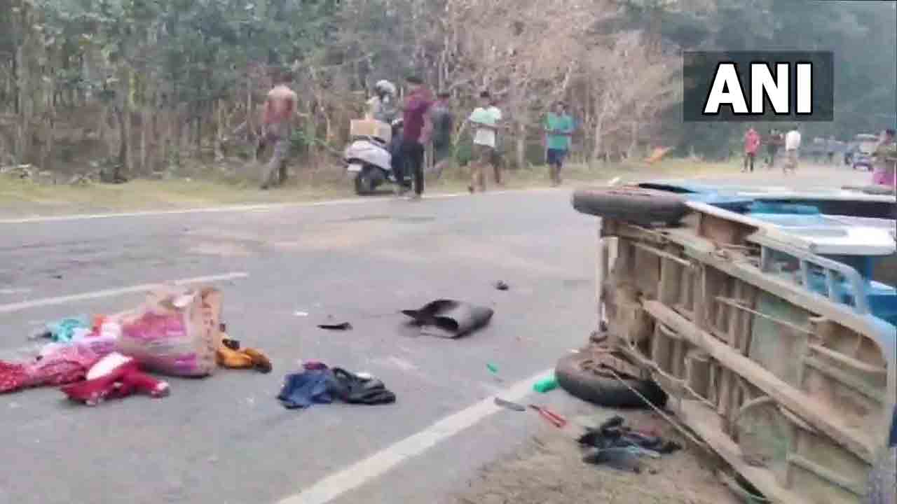 Elephants | ఏనుగుల దాడిలో చిన్నారి సహా ముగ్గురు మృతి