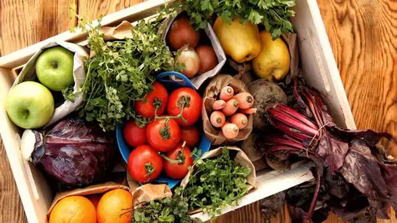 Blood Platelets | రక్తంలో ప్లేట్‌లెట్స్‌ పెంచుకోవాలా..? ఈ ఆహారాలను ట్రై చేయండి..!