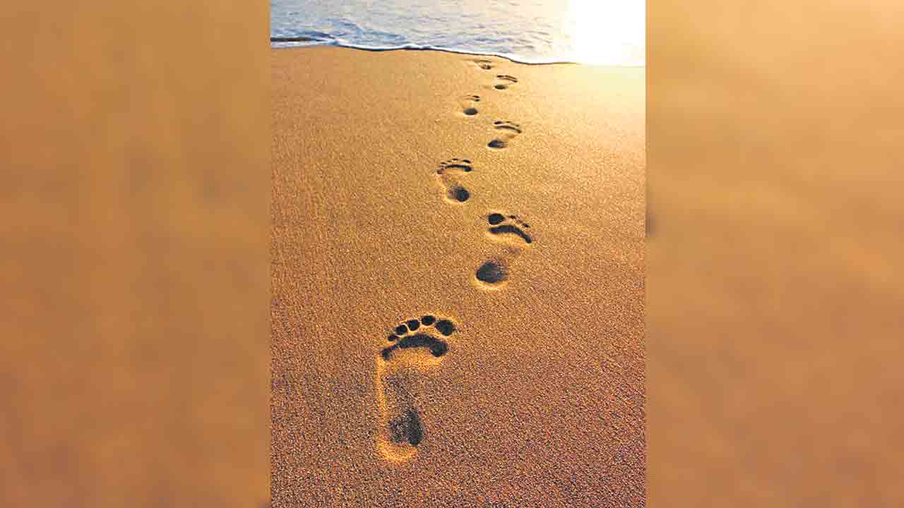 మొదటి అడుగు