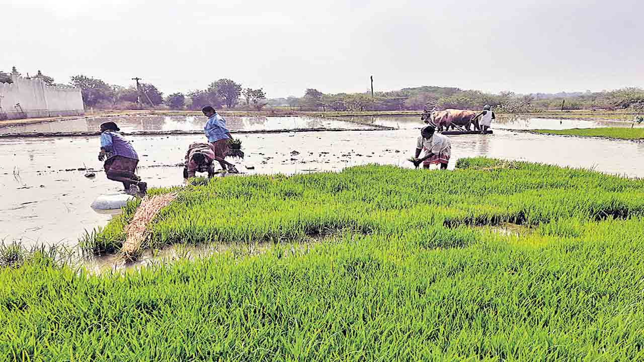 యాసంగికి సమాయత్తం