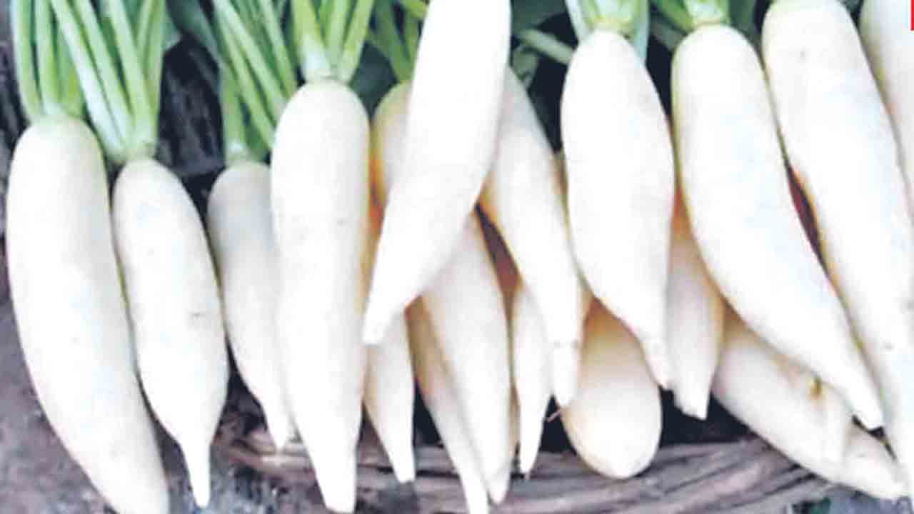 ముల్లంగితో ఆరోగ్యానికి మేలు