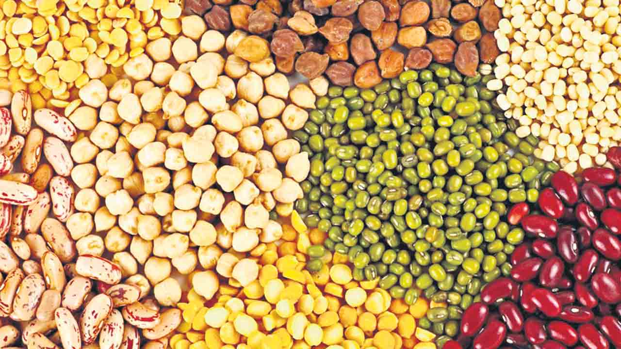 పోషకాహారంపై దేశవ్యాప్త అధ్యయనం