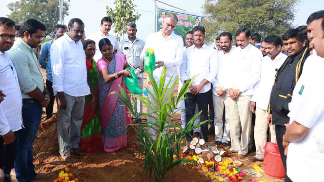 ఆయిల్‌పామ్‌ సాగుతో ఖర్చు తక్కువ, ఆదాయం ఎక్కువ‌: మంత్రి హరీశ్‌ రావు