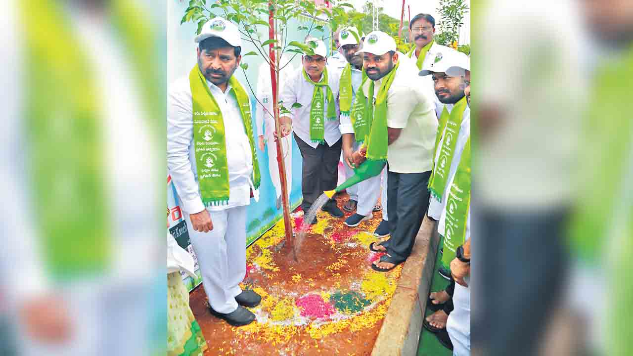 భవిష్యత్తు తరాలకు స్వచ్ఛ ఆక్సిజన్‌