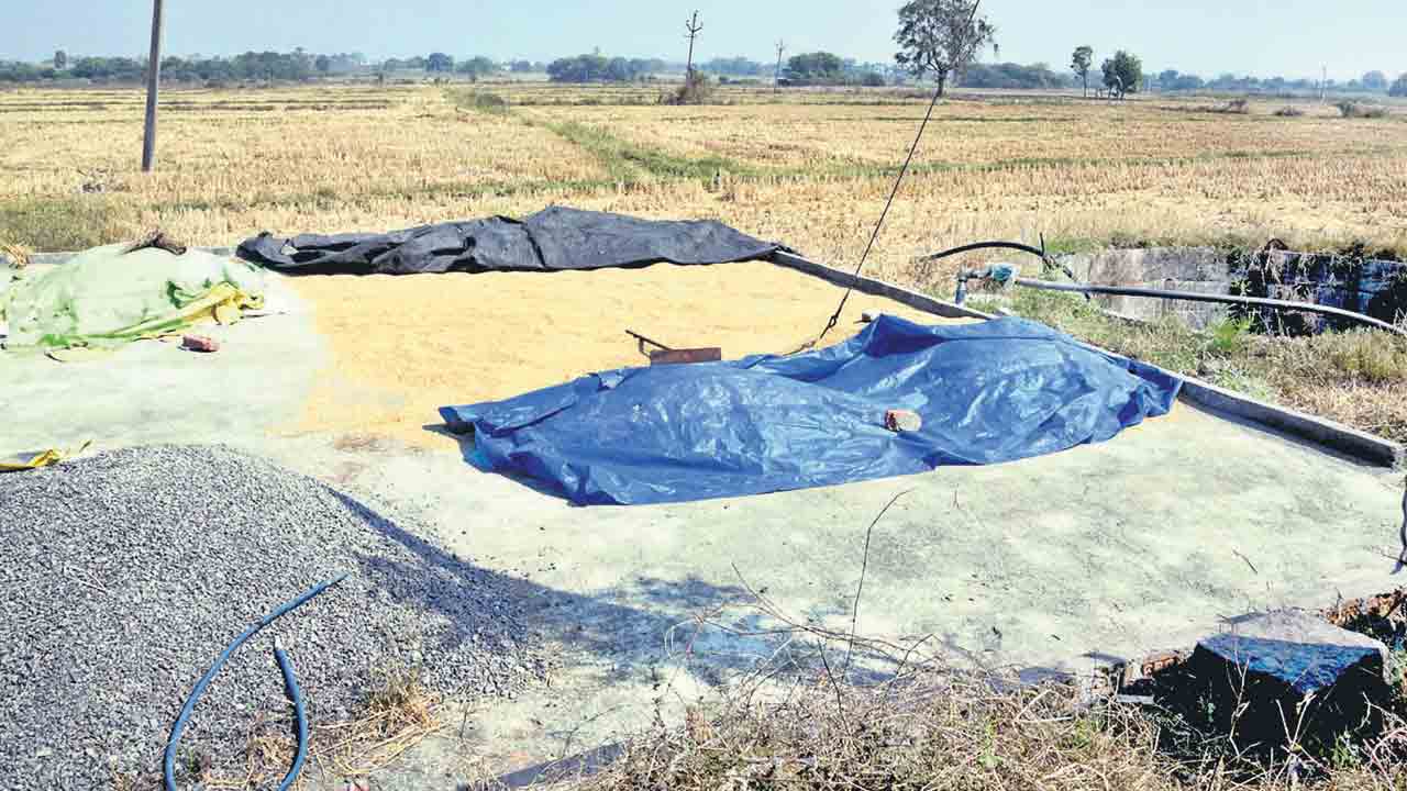 కల్లాలపై కేంద్రం కండ్లమంట