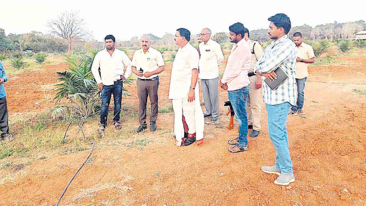 ఆయిల్‌ పామ్‌ సాగుకు రైతులను ప్రోత్సహించండి