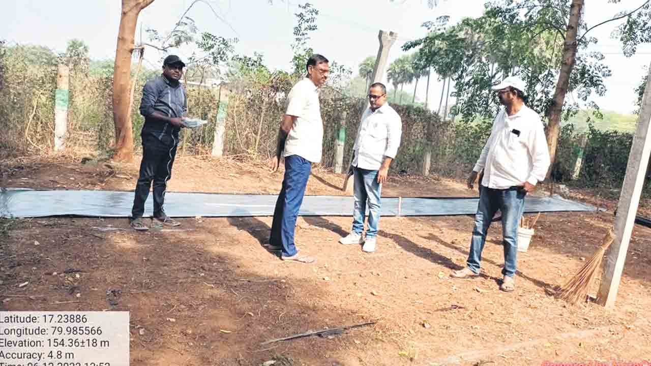 నర్సరీల్లో మొక్కలు పెంచడమే లక్ష్యం