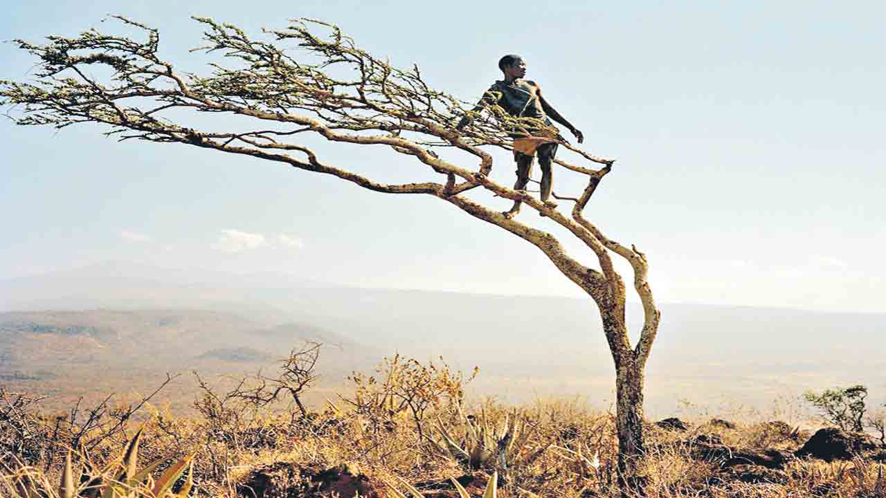 మనిషి నడక మొదలైంది చెట్లపైనే!