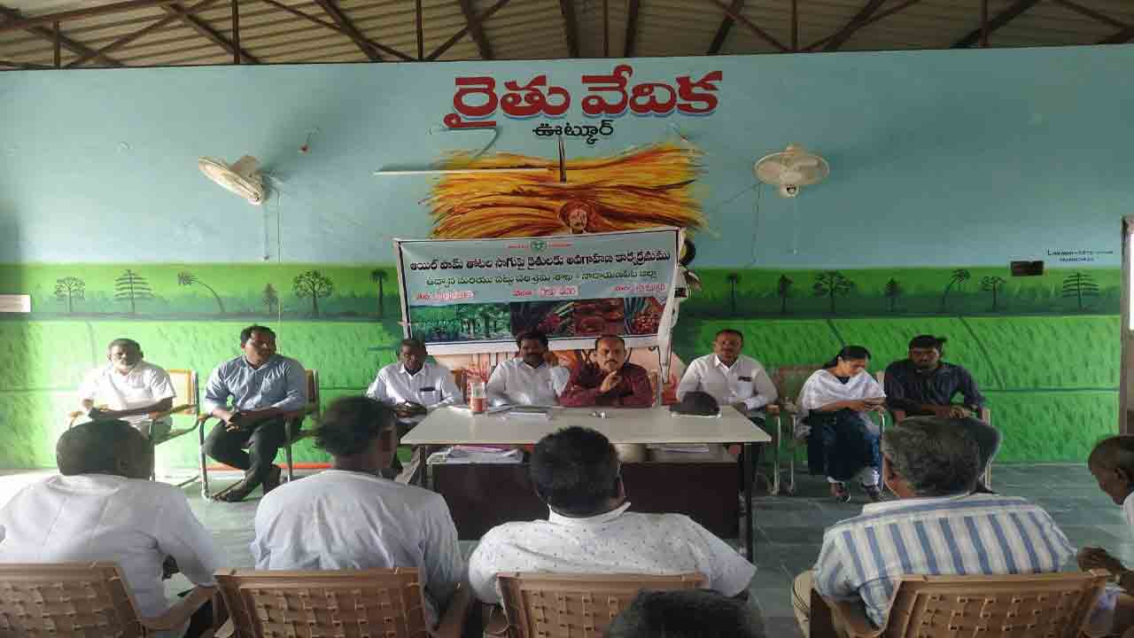 ఆయిల్‌ పాం సాగు చేపట్టాలి