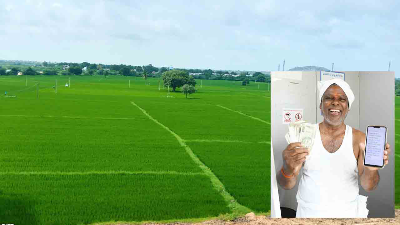 రైతుబంధు సంబురం