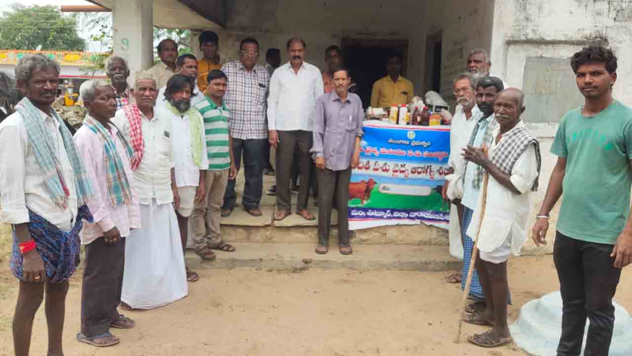 పశువులకు టీకాలు వేయించాలి